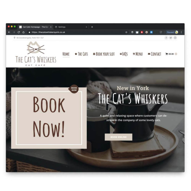 The Cat's Whiskers Cat cafe website